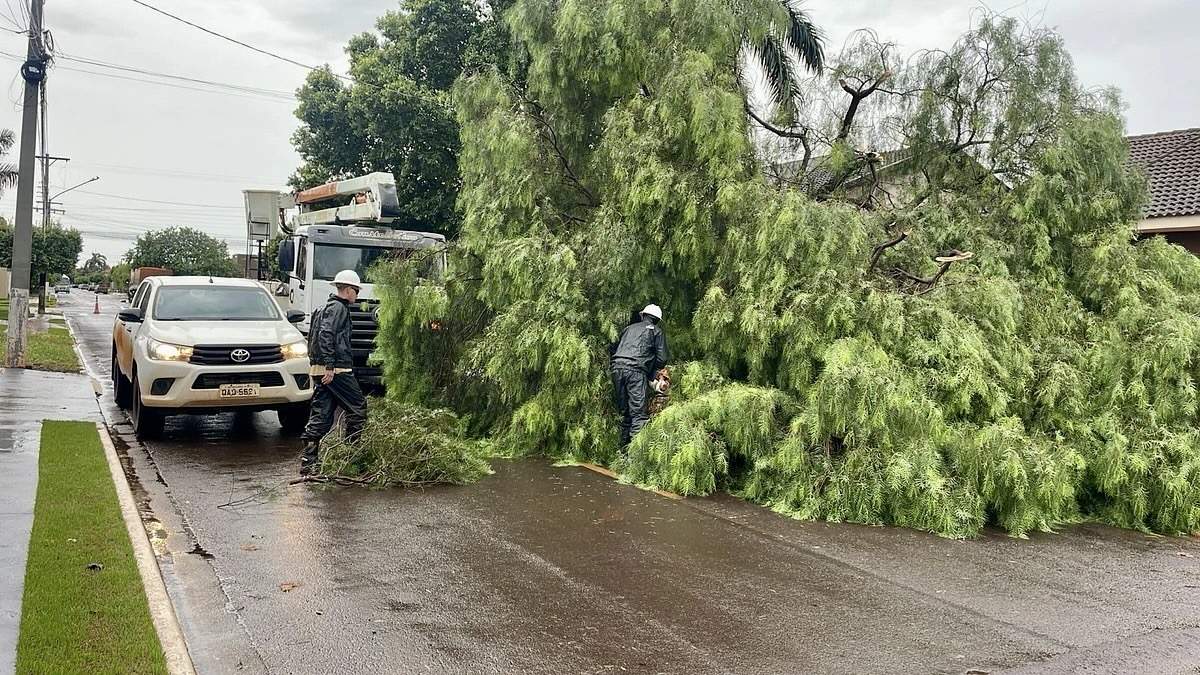 Município de São Gabriel do Oeste lidera volume de chuva no Brasil
